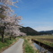 関ヶ原の春