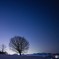_DSC1618170216-2