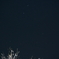 白梅と北斗七星
