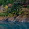 森の架け橋