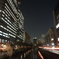 夜の目黒川