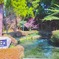 熊本白川神社