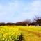 福岡海の中道海浜公園