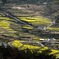 山村の春色