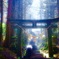 上色見熊野坐神社
