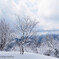 春の雪山②