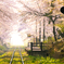春 -桜の駅-