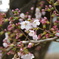 IMGP0028