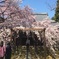 一宮 長誓寺 iPhone6 plus