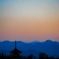 咲かない桜並木を･･･