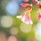 春、始めました。