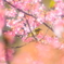 春の訪れ