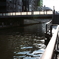Dotonbori3