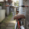 春の路地