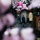 春
