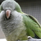 神戸どうぶつ王国　花鳥園
