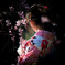 枝垂桜と。
