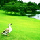 Kawamura Memorial Museum of Art