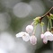 これから