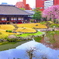 伝法院庭園のリフレクション