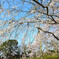 仏生山公園