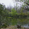 森林公園