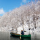 再雪景色