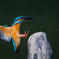 翡翠　～final　approach～