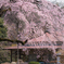 日本の風景