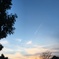 久しぶりに見た夕空