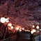 ようやく開花