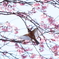 ヤマガラと文殊桜