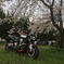 春