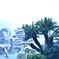 熱海