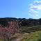 たなだ