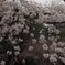 心躍らせて