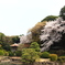 桜の日本庭園