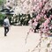 春