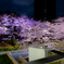 東京ミッドタウン夜桜