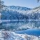 春の雪