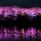 SAKURA NIGHT