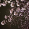 夜桜