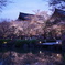 水面に映る夜桜