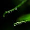 しずく　Ⅱ