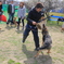 警察犬と戦う