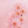滴を付けて