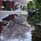 雨降って　