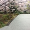 浜町公園