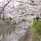 さくら夙川