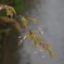 IMGP3029